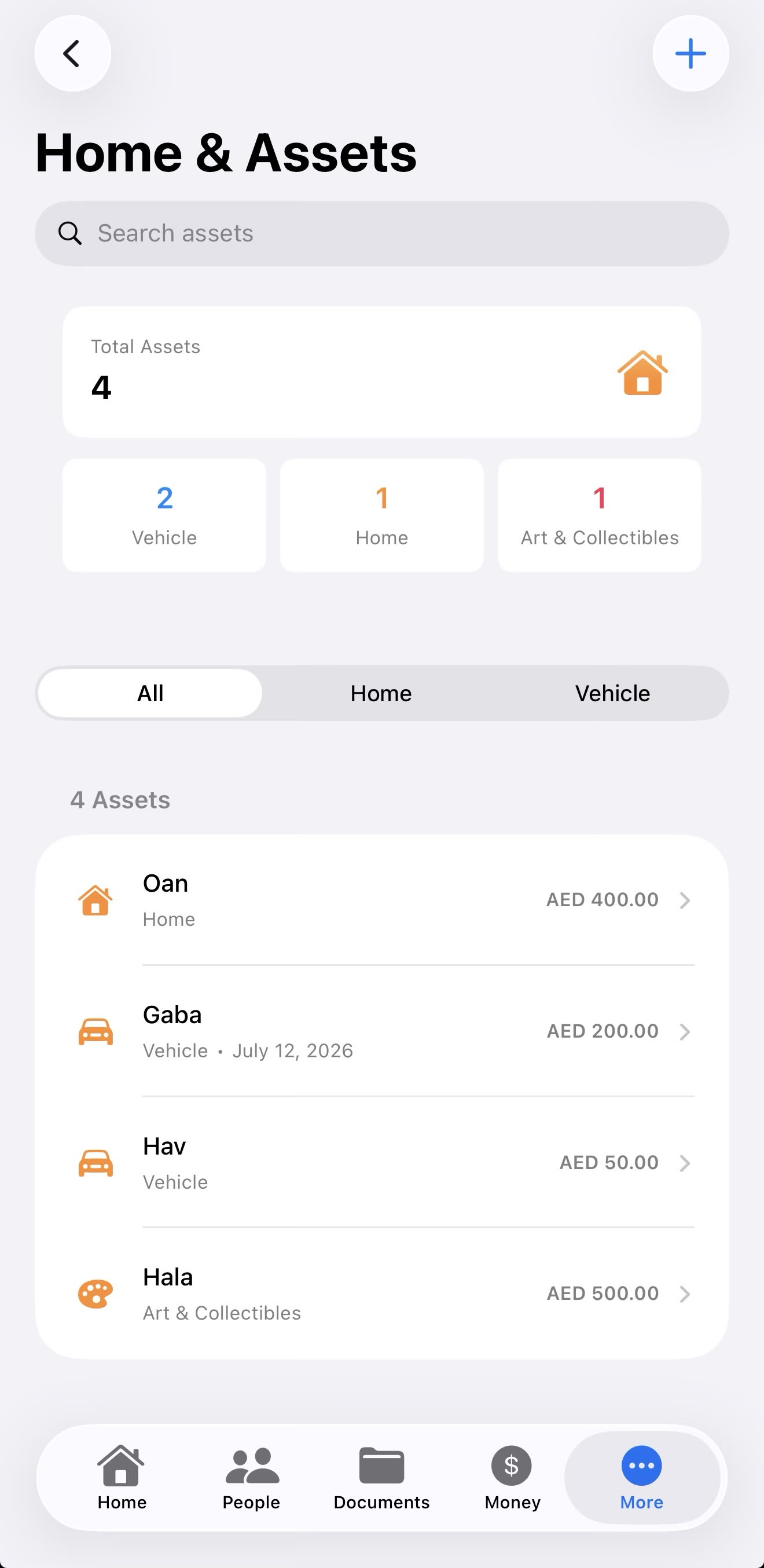 Placi Home and Assets screen listing home, vehicles and collectibles with values
